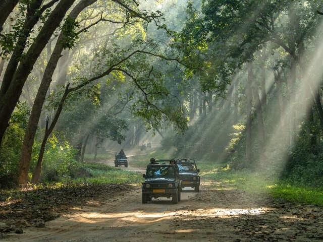 Jeep safari, optional, Jim Corbett corporate retreat